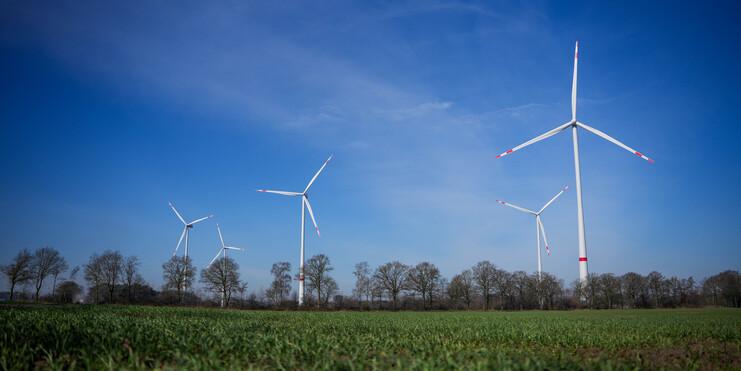 Feld mit Windkraftanlagen unter blauem Himmel, umgeben von Bäumen und grünem Gras im Vordergrund.
